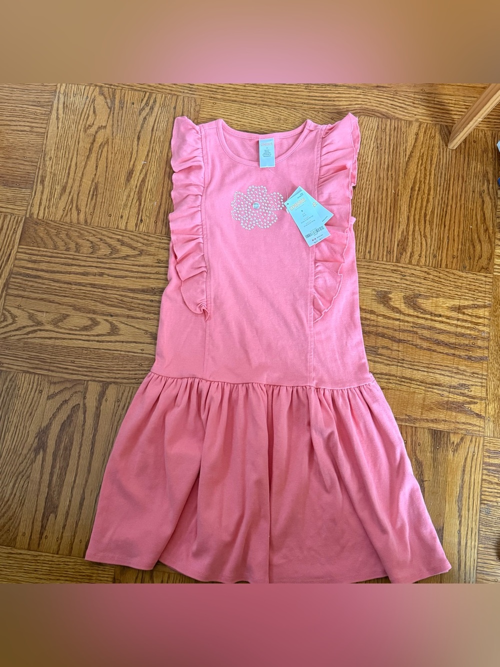 Gymboree Pink Ruffle Sleeve Dress with Pearl Flower
